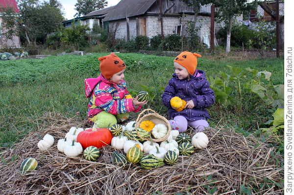 солнышко быстро спряталось