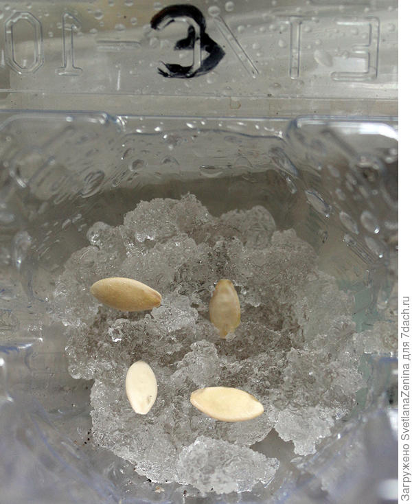 на гидрогеле