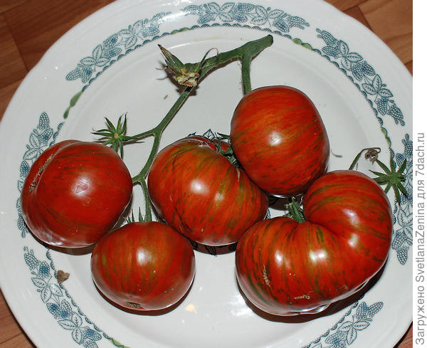 кисть