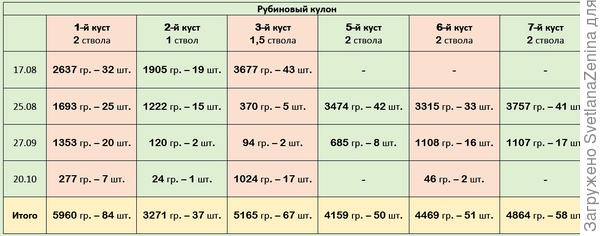 результат
