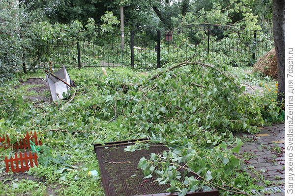 завален двор и дорога за забором