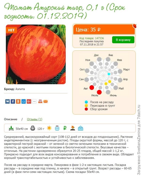 Томат амурский тигр характеристика