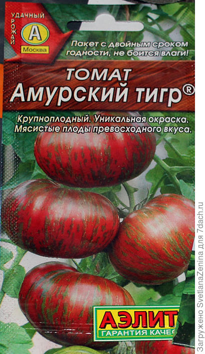 Томат амурский тигр характеристика фото