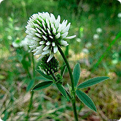 [33825m] &amp;amp;amp;amp;ETH;&amp;amp;amp;amp;iexcl;&amp;amp;amp;amp;ETH;&amp;amp;amp;amp;cedil;&amp;amp;amp;amp;ETH;&amp;amp;amp;amp;acute;&amp;amp;amp;amp;ETH;&amp;amp;amp;amp;micro;&amp;amp;amp;amp;Ntilde;&amp;amp;amp;amp;ETH;&amp;amp;amp;amp;deg;&amp;amp;amp;amp;Ntilde; &amp;amp;amp;amp;ETH;&amp;amp;amp;amp;ETH;&amp;amp;amp;amp;raquo;&amp;amp;amp;amp;ETH;&amp;amp;amp;amp;micro;&amp;amp;amp;amp;ETH;&amp;amp;amp;amp;sup2;&amp;amp;amp;amp;ETH;&amp;amp;amp;amp;micro;&amp;amp;amp;amp;Ntilde; &amp;amp;amp;amp;ETH;&amp;amp;amp;amp;ETH;&amp;amp;amp;amp;micro;&amp;amp;amp;amp;ETH;&amp;amp;amp;amp;raquo;&amp;amp;amp;amp;Ntilde;&amp;amp;amp;amp;ETH;&amp;amp;amp;amp;sup1;, 100 &amp;amp;amp;amp;ETH;&amp;amp;amp;amp;sup3;