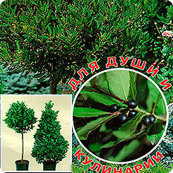 [19625m] &amp;amp;amp;amp;amp;amp;ETH;&amp;amp;amp;amp;amp;amp;ETH;&amp;amp;amp;amp;amp;amp;deg;&amp;amp;amp;amp;amp;amp;ETH;&amp;amp;amp;amp;amp;amp;sup2;&amp;amp;amp;amp;amp;amp;Ntilde; &amp;amp;amp;amp;amp;amp;ETH;&amp;amp;amp;amp;amp;amp;plusmn;&amp;amp;amp;amp;amp;amp;ETH;&amp;amp;amp;amp;amp;amp;raquo;&amp;amp;amp;amp;amp;amp;ETH;&amp;amp;amp;amp;amp;amp;deg;&amp;amp;amp;amp;amp;amp;ETH;&amp;amp;amp;amp;amp;amp;sup3;&amp;amp;amp;amp;amp;amp;ETH;&amp;amp;amp;amp;amp;amp;frac34;&amp;amp;amp;amp;amp;amp;Ntilde;&amp;amp;amp;amp;amp;amp;ETH;&amp;amp;amp;amp;amp;amp;frac34;&amp;amp;amp;amp;amp;amp;ETH;&amp;amp;amp;amp;amp;amp;acute;&amp;amp;amp;amp;amp;amp;ETH;&amp;amp;amp;amp;amp;amp;frac12;&amp;amp;amp;amp;amp;amp;Ntilde;&amp;amp;amp;amp;amp;amp;ETH;&amp;amp;amp;amp;amp;amp;sup1; &amp;amp;amp;amp;amp;amp;ETH;&amp;amp;amp;amp;amp;amp;sup2;&amp;amp;amp;amp;amp;amp;ETH;&amp;amp;amp;amp;amp;amp;micro;&amp;amp;amp;amp;amp;amp;Ntilde;&amp;amp;amp;amp;amp;amp;ETH;&amp;amp;amp;amp;amp;amp;frac12;&amp;amp;amp;amp;amp;amp;ETH;&amp;amp;amp;amp;amp;amp;frac34;&amp;amp;amp;amp;amp;amp;ETH;&amp;amp;amp;amp;amp;amp;middot;&amp;amp;amp;amp;amp;amp;ETH;&amp;amp;amp;amp;amp;amp;micro;&amp;amp;amp;amp;amp;amp;ETH;&amp;amp;amp;amp;amp;amp;raquo;&amp;amp;amp;amp;amp;amp;ETH;&amp;amp;amp;amp;amp;amp;micro;&amp;amp;amp;amp;amp;amp;ETH;&amp;amp;amp;amp;amp;amp;frac12;&amp;amp;amp;amp;amp;amp;Ntilde;&amp;amp;amp;amp;amp;amp;ETH;&amp;amp;amp;amp;amp;amp;sup1; &amp;amp;amp;amp;amp;amp;ETH;&amp;amp;amp;amp;amp;amp;shy;&amp;amp;amp;amp;amp;amp;ETH;&amp;amp;amp;amp;amp;amp;ordm;&amp;amp;amp;amp;amp;amp;ETH;&amp;amp;amp;amp;amp;amp;middot;&amp;amp;amp;amp;amp;amp;ETH;&amp;amp;amp;amp;amp;amp;frac34;&amp;amp;amp;amp;amp;amp;Ntilde;&amp;amp;amp;amp;amp;amp;ETH;&amp;amp;amp;amp;amp;amp;cedil;&amp;amp;amp;amp;amp;amp;ETH;&amp;amp;amp;amp;amp;amp;ordm;&amp;amp;amp;amp;amp;amp;ETH;&amp;amp;amp;amp;amp;amp;deg;, 1,5 &amp;amp;amp;amp;amp;amp;ETH;&amp;amp;amp;amp;amp;amp;sup3; &amp;amp;amp;amp;amp;amp;ETH;&amp;amp;amp;amp;amp;amp;shy;&amp;amp;amp;amp;amp;amp;ETH;&amp;amp;amp;amp;amp;amp;ordm;&amp;amp;amp;amp;amp;amp;ETH;&amp;amp;amp;amp;amp;amp;middot;&amp;amp;amp;amp;amp;amp;ETH;&amp;amp;amp;amp;amp;amp;frac34;&amp;amp;amp;amp;amp;amp;Ntilde;&amp;amp;amp;amp;amp;amp;ETH;&amp;amp;amp;amp;amp;amp;cedil;&amp;amp;amp;amp;amp;amp;Ntilde;&amp;amp;amp;amp;amp;amp;ETH;&amp;amp;amp;amp;amp;amp;micro;&amp;amp;amp;amp;amp;amp;Ntilde;&amp;amp;amp;amp;amp;amp;ETH;&amp;amp;amp;amp;amp;amp;ordm;&amp;amp;amp;amp;amp;amp;ETH;&amp;amp;amp;amp;amp;amp;cedil;&amp;amp;amp;amp;amp;amp;ETH;&amp;amp;amp;amp;amp;amp;sup1; &amp;amp;amp;amp;amp;amp;Ntilde;&amp;amp;amp;amp;amp;amp;ETH;&amp;amp;amp;amp;amp;amp;deg;&amp;amp;amp;amp;amp;amp;ETH;&amp;amp;amp;amp;amp;amp;acute;