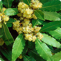 [8963m] &amp;amp;amp;amp;amp;amp;ETH;&amp;amp;amp;amp;amp;amp;ETH;&amp;amp;amp;amp;amp;amp;deg;&amp;amp;amp;amp;amp;amp;ETH;&amp;amp;amp;amp;amp;amp;sup2;&amp;amp;amp;amp;amp;amp;Ntilde; &amp;amp;amp;amp;amp;amp;ETH;&amp;amp;amp;amp;amp;amp;plusmn;&amp;amp;amp;amp;amp;amp;ETH;&amp;amp;amp;amp;amp;amp;raquo;&amp;amp;amp;amp;amp;amp;ETH;&amp;amp;amp;amp;amp;amp;deg;&amp;amp;amp;amp;amp;amp;ETH;&amp;amp;amp;amp;amp;amp;sup3;&amp;amp;amp;amp;amp;amp;ETH;&amp;amp;amp;amp;amp;amp;frac34;&amp;amp;amp;amp;amp;amp;Ntilde;&amp;amp;amp;amp;amp;amp;ETH;&amp;amp;amp;amp;amp;amp;frac34;&amp;amp;amp;amp;amp;amp;ETH;&amp;amp;amp;amp;amp;amp;acute;&amp;amp;amp;amp;amp;amp;ETH;&amp;amp;amp;amp;amp;amp;frac12;&amp;amp;amp;amp;amp;amp;Ntilde;&amp;amp;amp;amp;amp;amp;ETH;&amp;amp;amp;amp;amp;amp;sup1; &amp;amp;amp;amp;amp;amp;ETH;&amp;amp;amp;amp;amp;amp;brvbar;&amp;amp;amp;amp;amp;amp;ETH;&amp;amp;amp;amp;amp;amp;micro;&amp;amp;amp;amp;amp;amp;ETH;&amp;amp;amp;amp;amp;amp;middot;&amp;amp;amp;amp;amp;amp;ETH;&amp;amp;amp;amp;amp;amp;deg;&amp;amp;amp;amp;amp;amp;Ntilde;&amp;amp;amp;amp;amp;amp;Ntilde;, 3 &amp;amp;amp;amp;amp;amp;Ntilde;&amp;amp;amp;amp;amp;amp;Ntilde;.