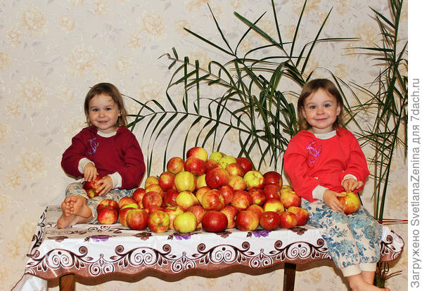 сортировка урожая