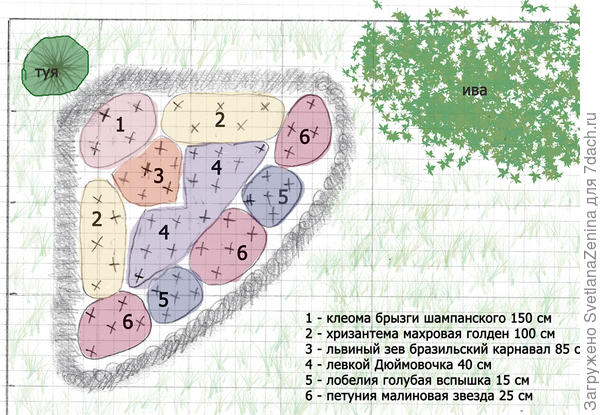 Схема посадки однолетних цветов на прямоугольной клумбе