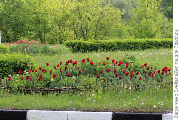 Дорожная развязка недалеко от дома