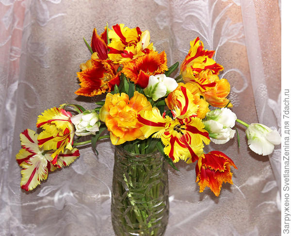 А у меня тоже есть ответный подарок! )