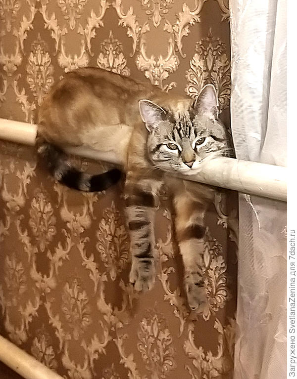 НЕ обращайте внимания, я просто полотенчико ))