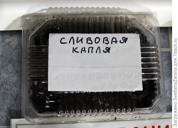 Жду всходов
