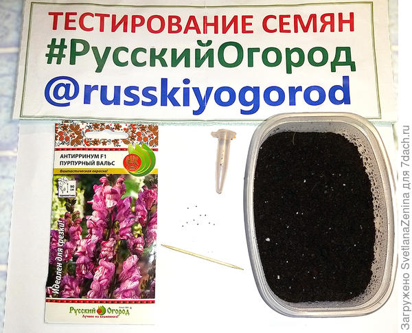 Семена