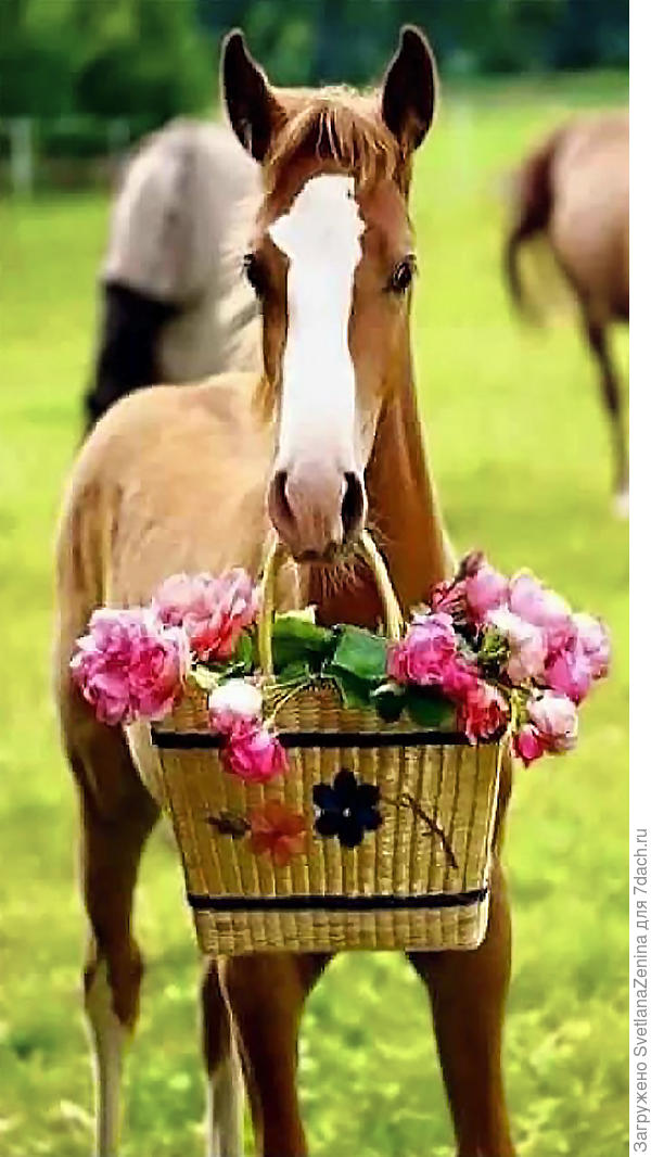 Просили передать )