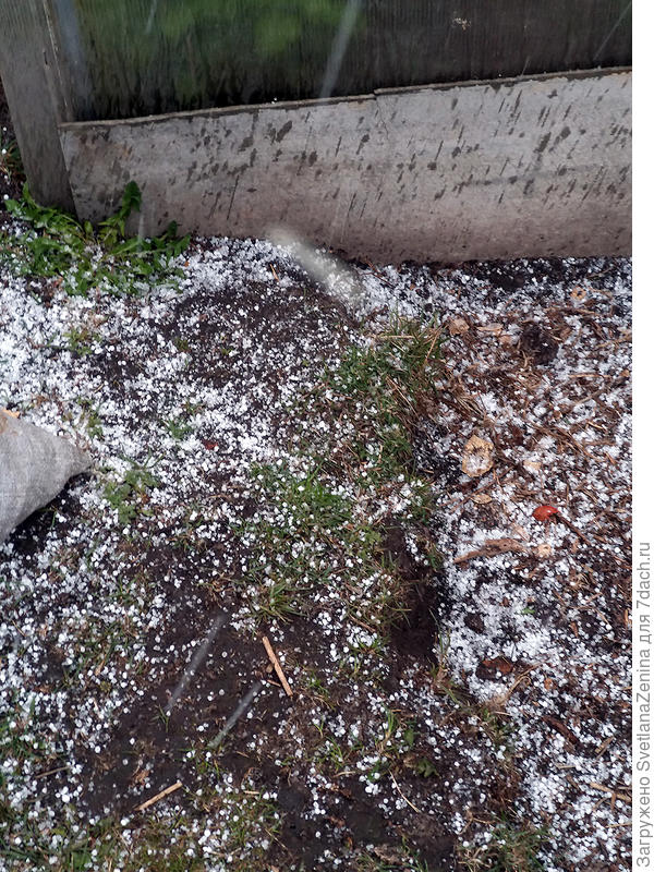 за минуту насыпало града, дальше я убежала ))