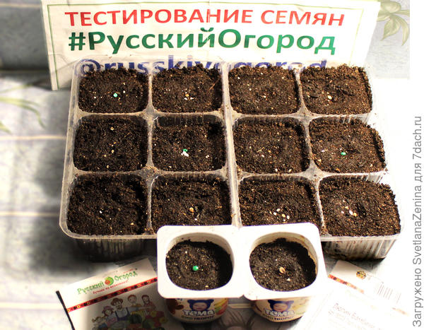 Посев