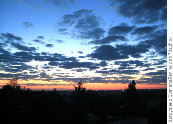 В синих красках