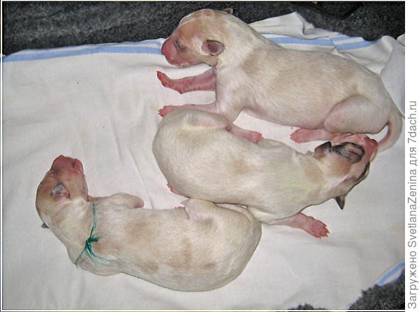 Первый день жизни ))