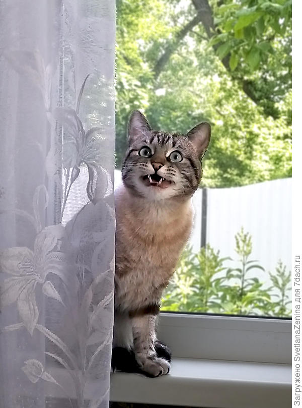 Правда такая цена?