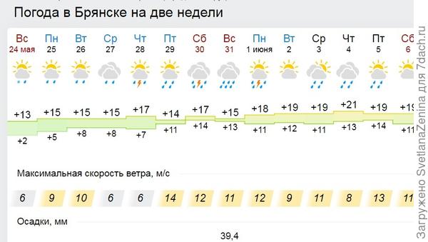Погода
