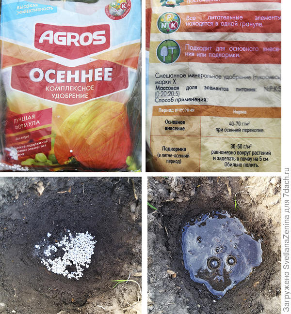 Лунки, удобрение