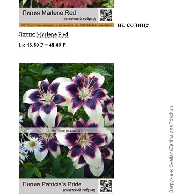 Вот я заказывала. Но приходило без упаковок.