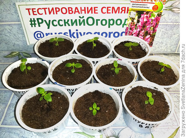 Все рассажены