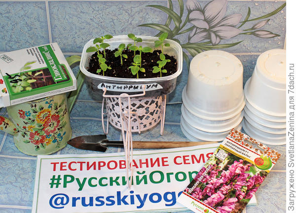 16 апреля