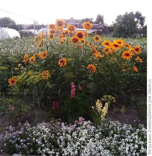 Пришлось даже некоторые развернуть в нашу сторону ))