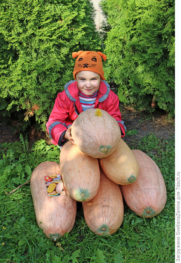 "Торпеды" к залпу готовы
