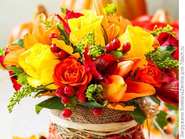 ПОЗДРАВЛЯЮ И СПАСИБО!