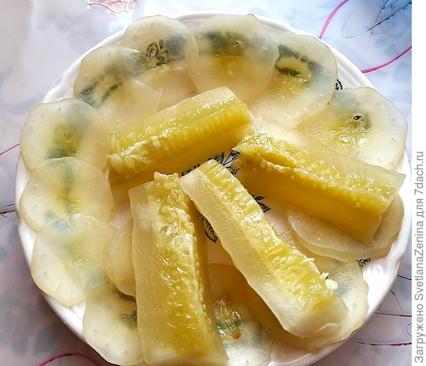 Квашенный