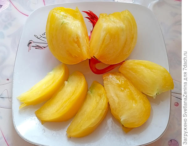 Отобрала у мужа изо рта, что бы сфотографировать )))