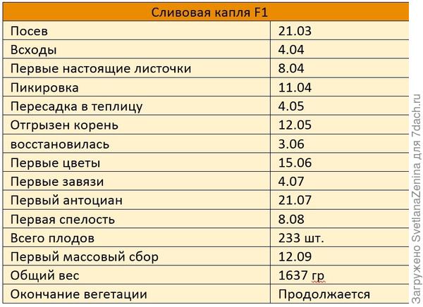 Этапы