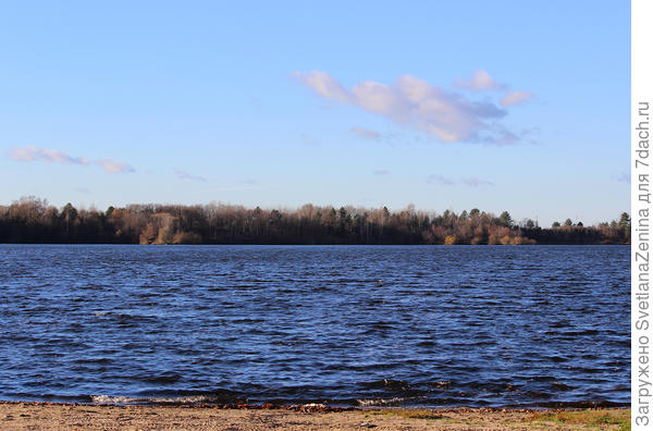 А вот и само озеро. Листва с деревьев уже облетела и они смотрятся серой полосой.
