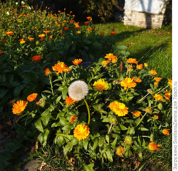 Дело было в октябре
