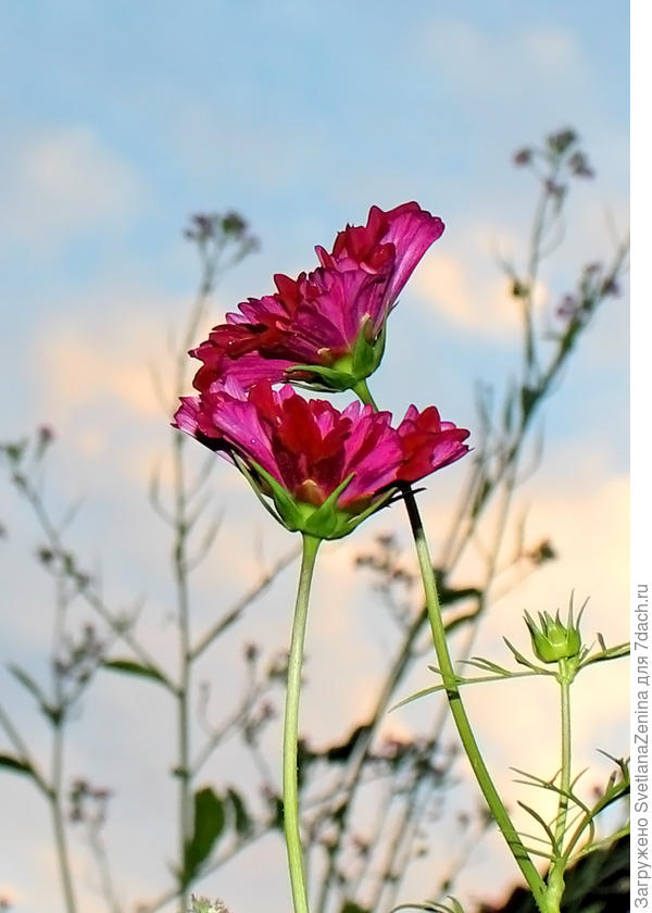 Свидание на закате