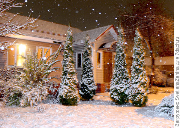 А было так красиво. 20 ноября