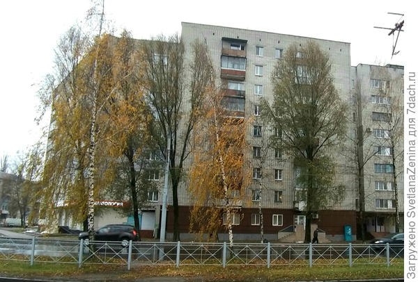 А это спустя несколько дней 24 ноября ))