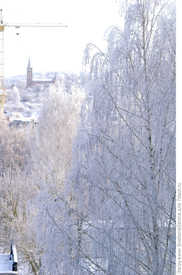 Когда жили в квартире на последнем этаже, так захватывающе было наблюдать за окружающим миром
