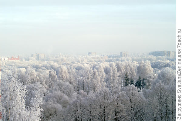 Это первый муж снимал на большом увеличении. До домов около 2 км.