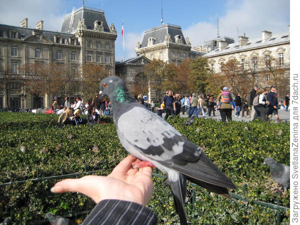 А это на моей руке )