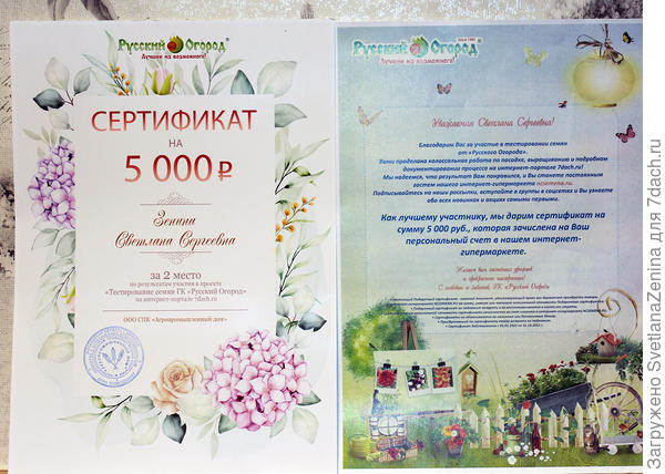 Сертификат