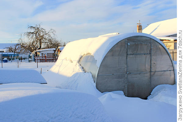 Думаю курочкам там тепло