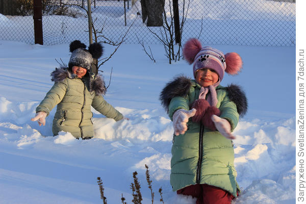 Снегопроходцы