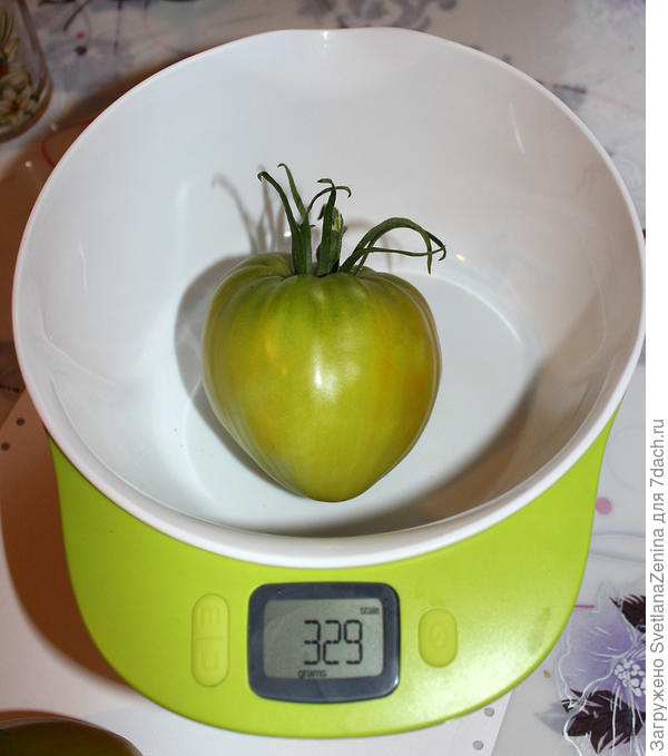 Сердце зелёное