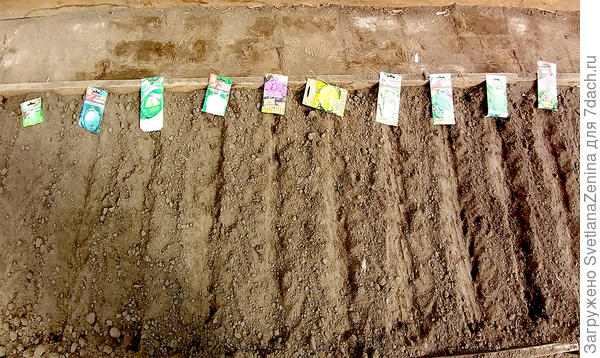 Еще не полито )