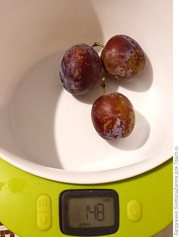 основная масса 50 гр.