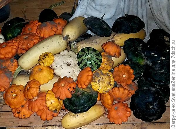 Позавчера после работы в темноте бегала по участку всё убирала ))