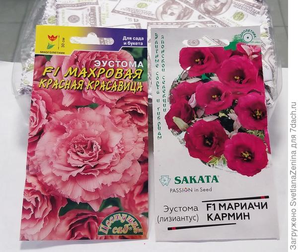 Здесь на фото потемнее смотрится. А смотрю на пачку она посветлее чуть.